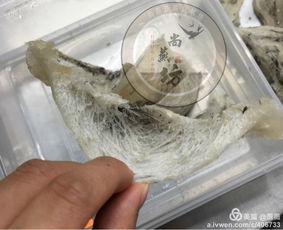 探秘燕窝加工厂 从金丝燕的巢穴到餐桌珍品